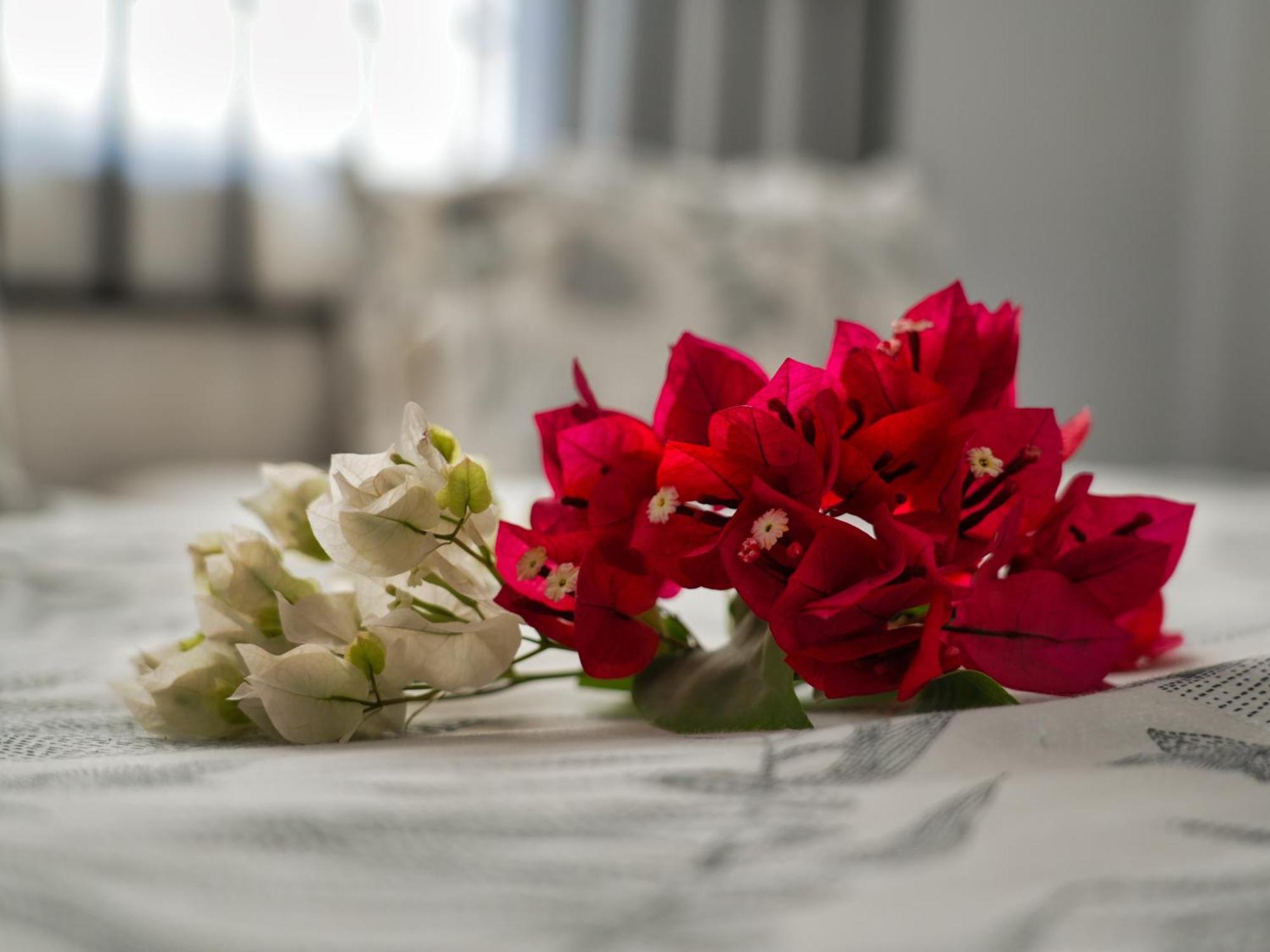 Golentle Home Stay マウン 部屋 写真